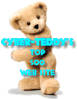 Cyber teddy 500 winner!
